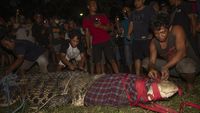 Buaya Berkalung Ban Bekas di Palu Berhasil di Bebaskan