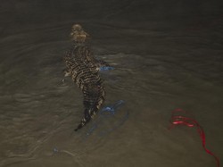 5 Fakta Kisah Penyelamatan Buaya Legendaris Berkalung Ban