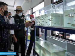 Hebring! SMKN 1 Mundu Dilibatkan Gali Potensi Segitiga Rebana