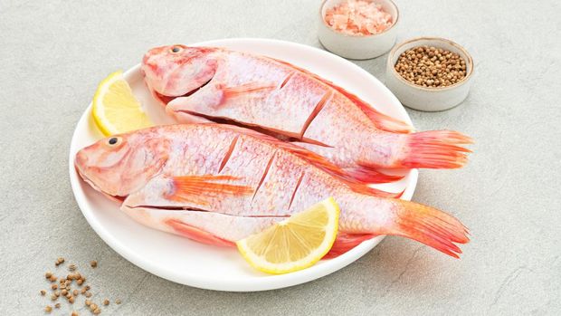 Ikan Nila Merah (Raw red tilapia fish) is a kind of freshwater fish consumption, served on white plate. Selected focus