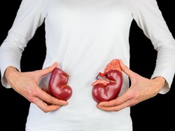 Ritual Simpel 5 Menit yang Diklaim Ampuh Cegah Ginjal dan Liver Rusak