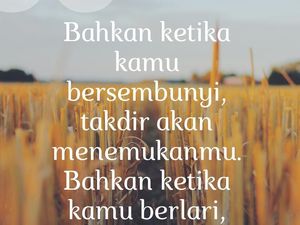 13 Kata-kata Ali bin Thalib tentang Takdir, Bikin Hidup Lebih Tenang