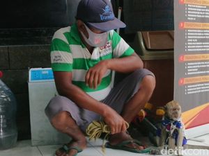 Kisah Monyet yang Disewa Rp 25 Ribu/Hari untuk Mengais Rezeki Kisah Monyet yang Disewa Rp 25 Ribu/Hari untuk Mengais Rezeki