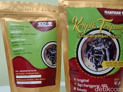 Keripik Teripang Lamongan Terbang Sampai ke Turki