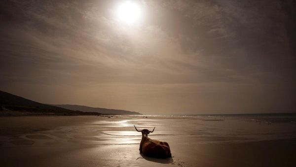 Menjaga Semesta Tetap Tersenyum