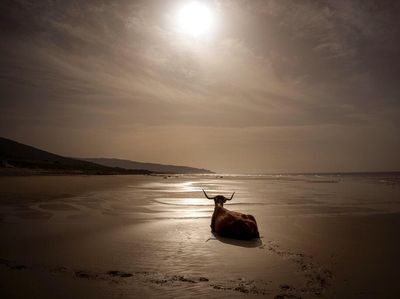 Menjaga Semesta Tetap Tersenyum