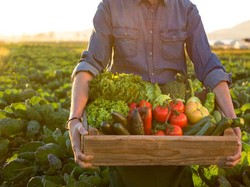 7 Sayuran Segar Favorit Rasulullah SAW yang Tercatat dalam Hadits