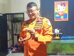 Kobra di Tempat Tidur Bikin Penghuni Rumah Ini Tutup Kamar dan Panggil Damkar