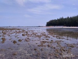 Berwisata Memanjakan Mata dan Memuaskan Perut di Pantai Tiku