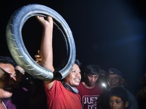 Heroik Pria Jateng Selamatkan Buaya Terbelit Ban Bertahun-tahun di Palu Heroik Pria Jateng Selamatkan Buaya Terbelit Ban Bertahun-tahun di Palu