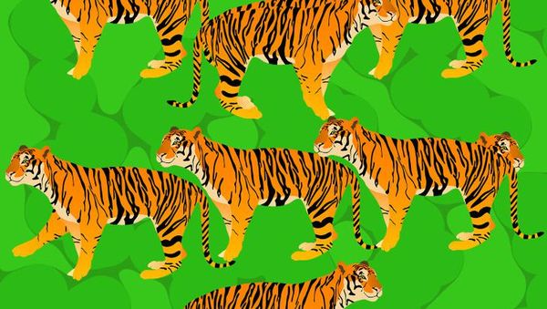 Uji Kecepatan Mata dan Pikiran Kamu, Temukan Objek Tersembunyi!