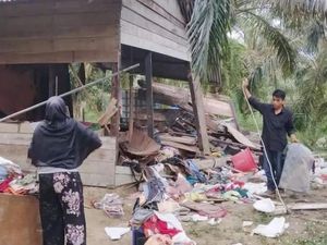 11 Gajah Liar Masuk Permukiman Warga di Pekanbaru, 15 Pondok Dirusak