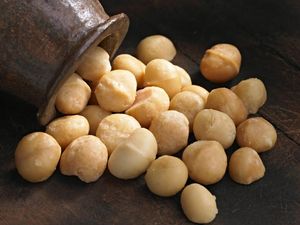 Ini Alasan Kacang Macadamia Harganya Termahal di Dunia Ini Alasan Kacang Macadamia Harganya Termahal di Dunia