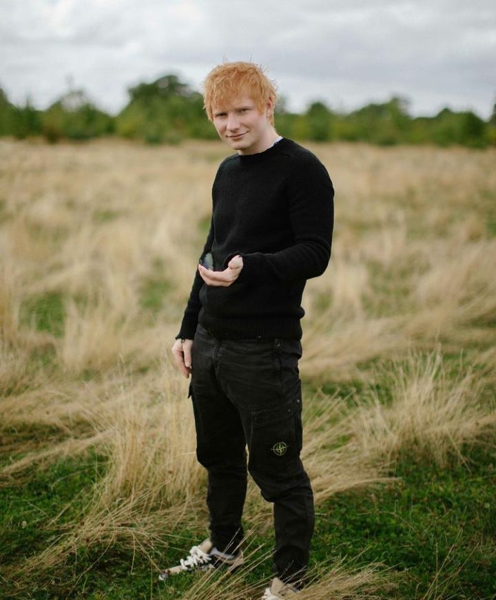Karakter Ed Sheeran yang berzodiak Aquarius