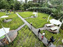 5 Kafe dengan Pemandangan Asri, Cocok Buat Healing di Bogor