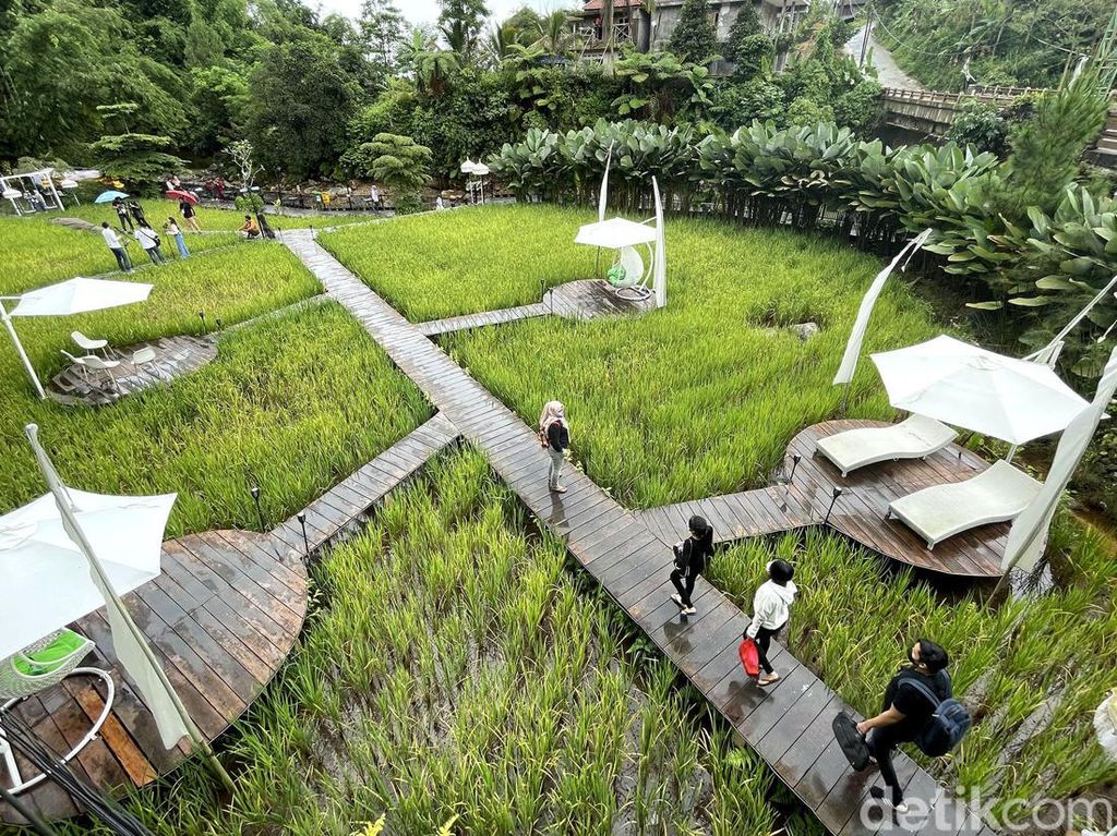 5 Tempat Ngopi di Bogor dengan View Instagenic