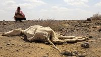 Ethiopia Kembali Dilanda Kekeringan Terburuk, Kelaparan Mengintai