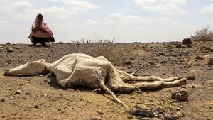 Ethiopia Kembali Dilanda Kekeringan Terburuk, Kelaparan Mengintai