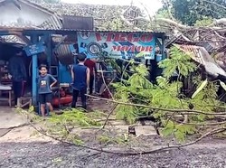 Pohon Tumbang Timpa Rumah-Warung di Sukabumi, 5 Orang Terluka
