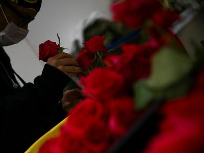 Pulihkan Kesehatan Mental dengan Merangkai Bunga
