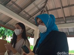 Kuasa Hukum Sebut Ririn Dwi Ariyanti Menderita, Ada Apa?