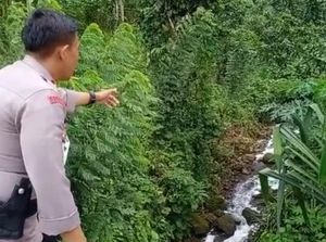 Viral Sungai di Gowa Sulsel Berbusa, Diduga Akibat Pohon Rambutan Ditebang