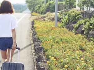 Keunggulan Pakai Jasa Travel untuk Transportasi Antar Kota
