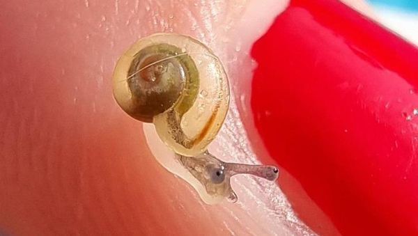 Deretan Foto Ini Sulit Dipercaya Bukan Hasil Editan Photoshop