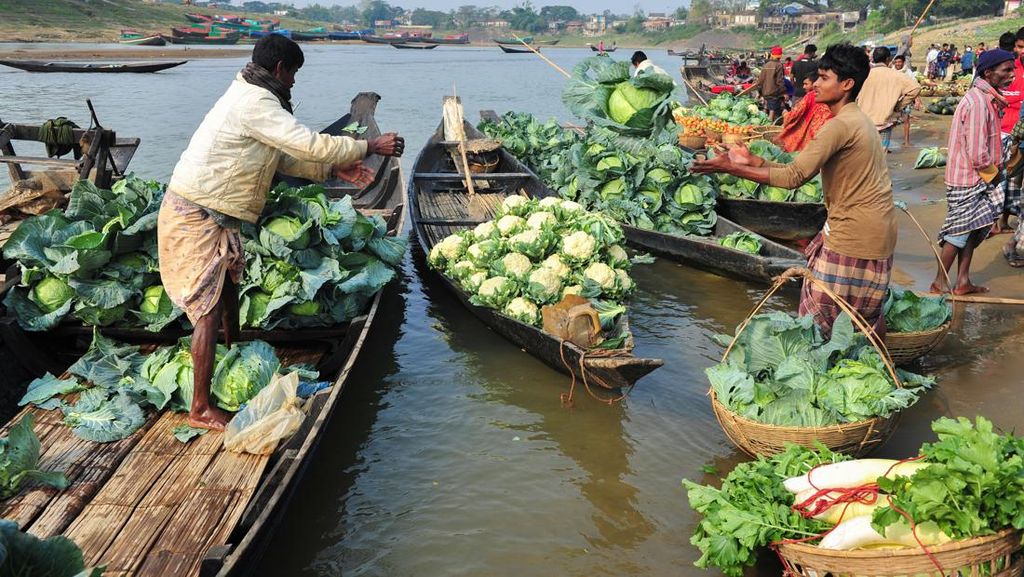 Melihat Para Pedagang Bersarung di Pasar Apung Bangladesh Melihat Para Pedagang Bersarung di Pasar Apung Bangladesh
