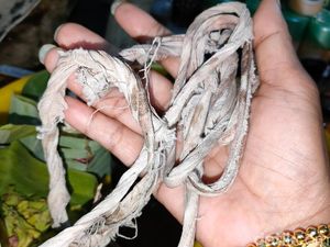 Pengakuan Wanita di Surabaya Curi Tali Pocong, Gali Kuburan Pakai Tangan Pengakuan Wanita di Surabaya Curi Tali Pocong, Gali Kuburan Pakai Tangan