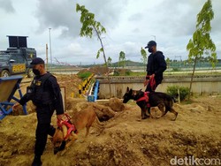 Polisi Kerahkan 4 Anjing Bubarkan Warga di Area Sirkuit Mandalika