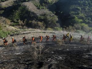 Potret Petugas Berjibaku Padamkan Kebakaran Hutan di California
