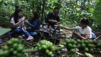 Wisata Kopi di Kaki Gunung Merbabu