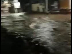 Banjir Luapan Sungai di Ponorogo