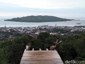 Sedang Hits di Mamuju, Kafe-Villa di Bukit dengan Panorama yang Instagramable Sedang Hits di Mamuju, Kafe-Villa di Bukit dengan Panorama yang Instagramable