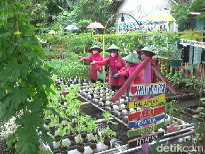 Desa di Lumajang Ini Sediakan Sayur Gratis Bagi Warga Saat Pandemi Desa di Lumajang Ini Sediakan Sayur Gratis Bagi Warga Saat Pandemi