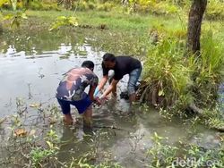 Terungkap! Wanita Tega Buang Bayinya di Mamuju Sulbar Korban Pemerkosaan