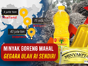 Ironi Negeri Kaya Sawit, Cari Minyak Goreng Saja Sulit