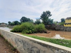 Rumpun Bambu Terbawa Arus Ambrolkan Plengsengan Sungai Gembong Pasuruan