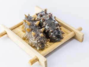 Semua Makanan dari Laut Halal, Termasuk Teripang Semua Makanan dari Laut Halal, Termasuk Teripang