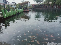 Terungkap! Arca Kuno dan Yoni di Umbul Ponggok