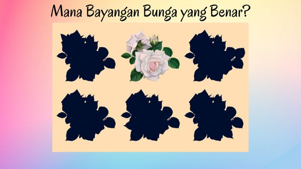 Tes Kejelian Mata, Benar Semua Tandanya Mata Kamu Masih Sehat