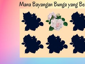 Tes Kejelian Mata, Benar Semua Tandanya Mata Kamu Masih Sehat