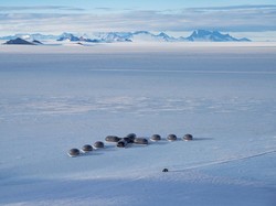 Berapa Luas Benua Antartika dan Benua Lainnya di Dunia?