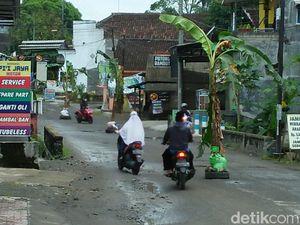 Pemkab Blitar Akan Segera Tambal Jalan Berlubang yang Ditanami Pisang