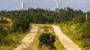 Begini Kondisi Jalan ke Jembatan Penghubung IKN