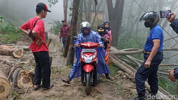 Longsor di 5 Titik, Jalur Trenggalek-Ponorogo Terputus