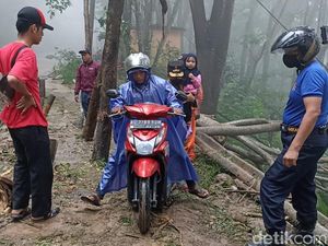 Pohon Tumbang Dampak Longsor Trenggalek Disingkirkan, Motor Bisa Lewat