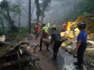 Longsor Tutup Total Jalur Utama Trenggalek-Ponorogo, Ini Jalur Alternatifnya Longsor Tutup Total Jalur Utama Trenggalek-Ponorogo, Ini Jalur Alternatifnya