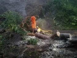 Jalur Utama Trenggalek-Ponorogo Tertutup Total Dua Titik Longsor